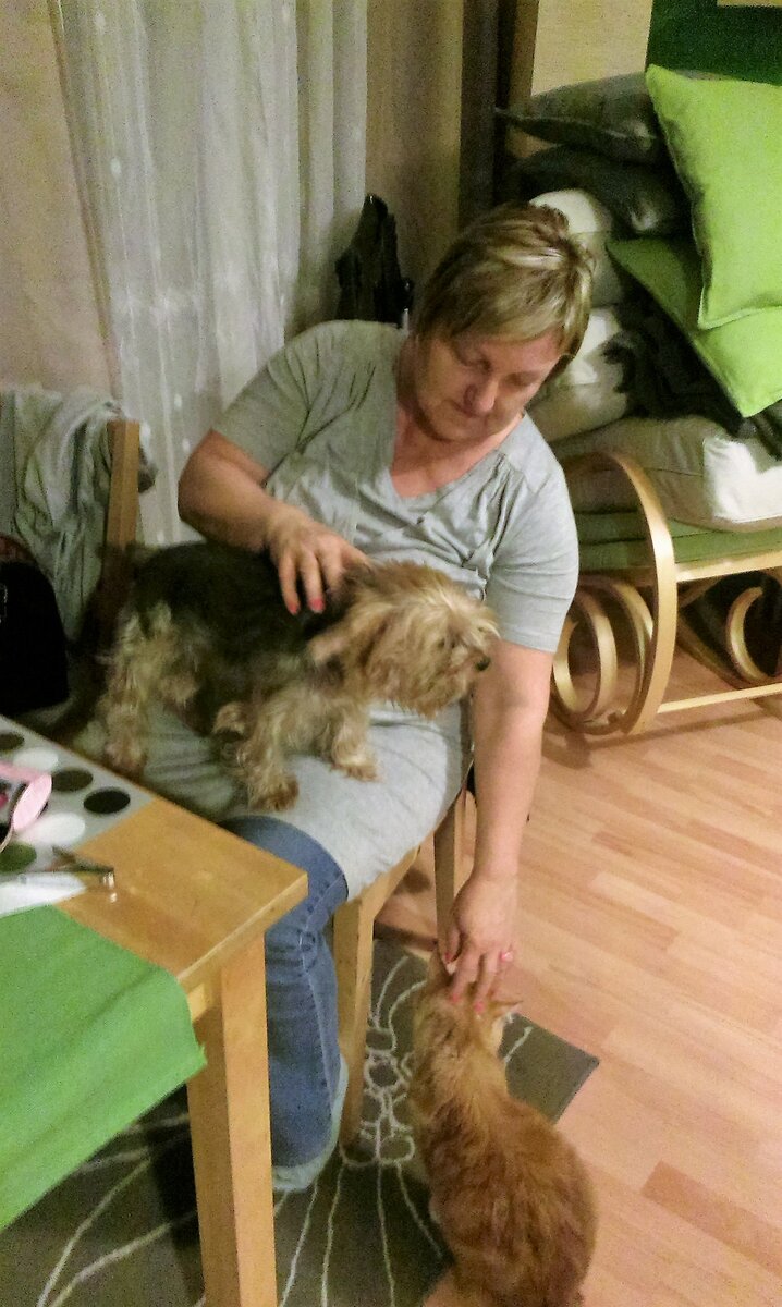Foto 3