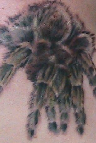 Foto 3