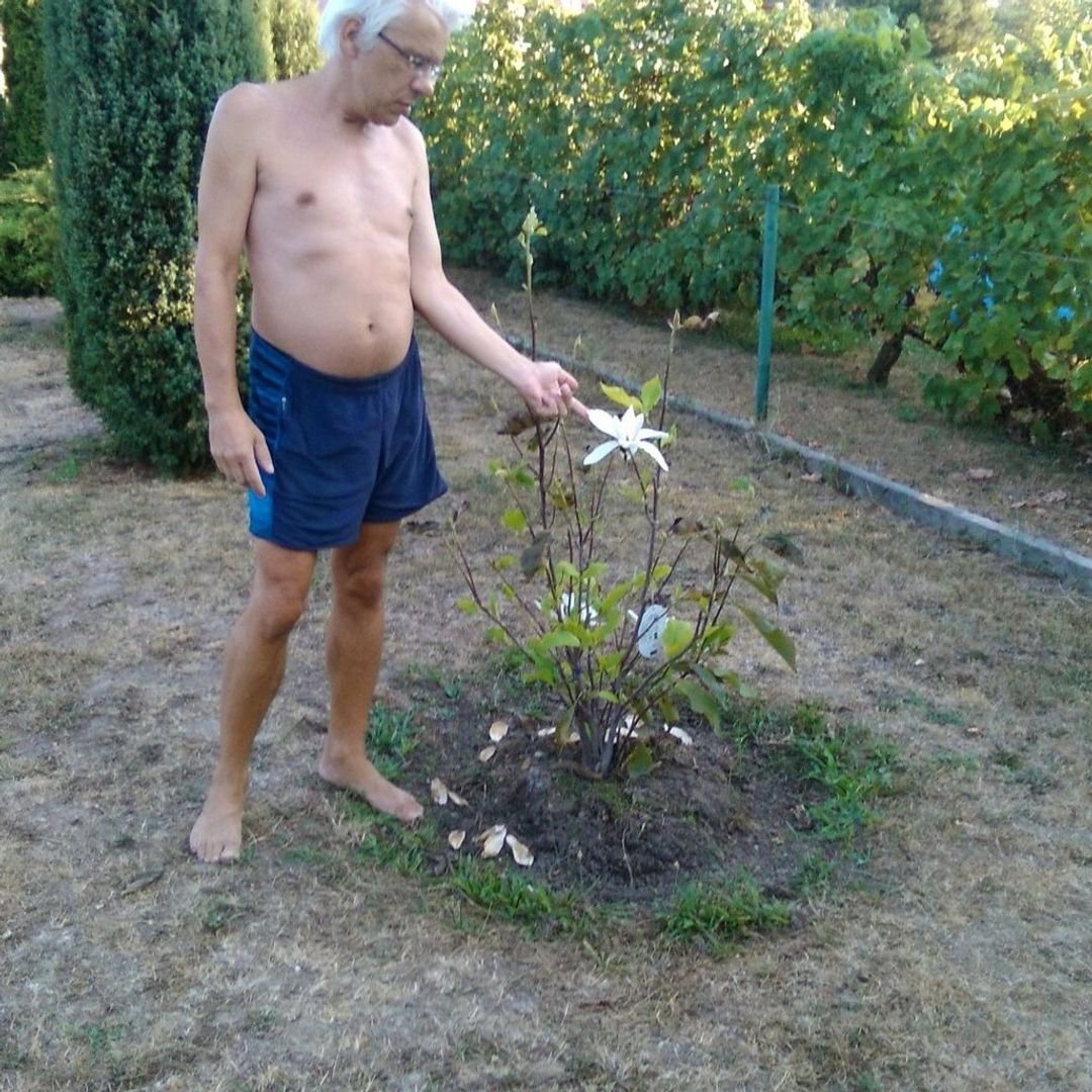 Foto 1