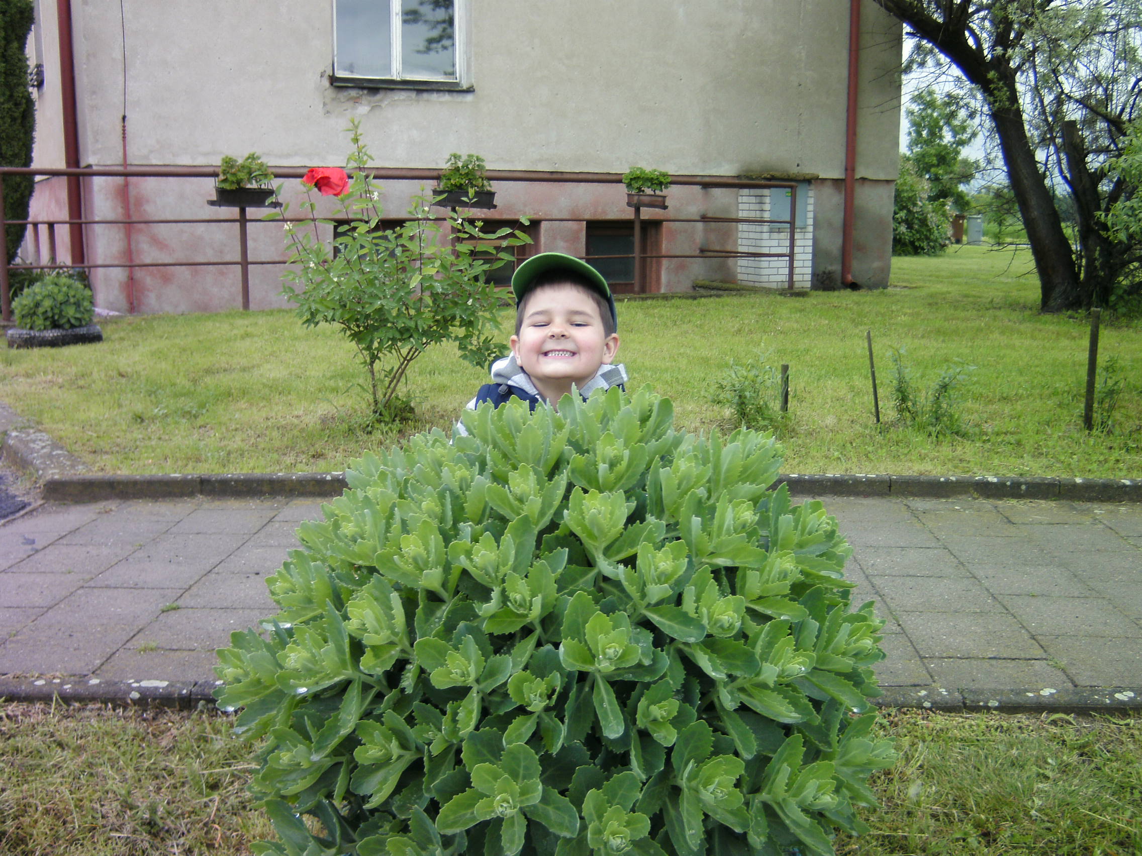 Foto 5