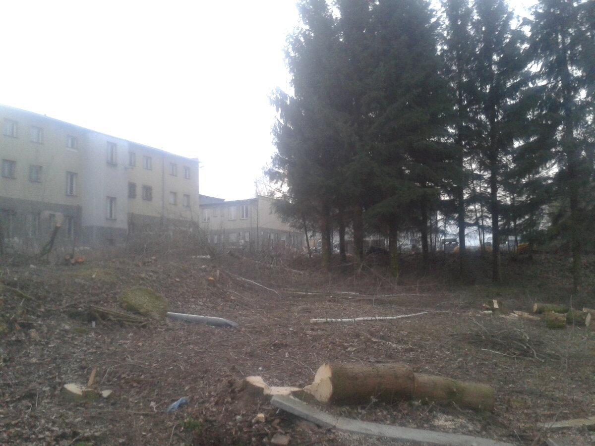Foto 1