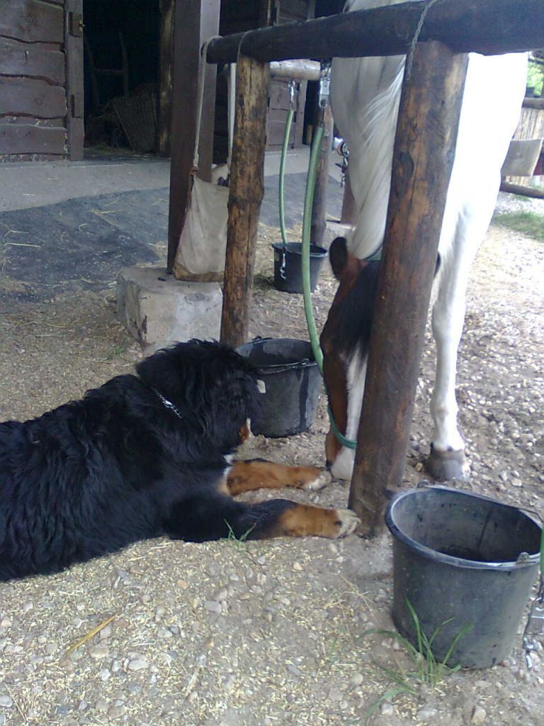 Foto 6