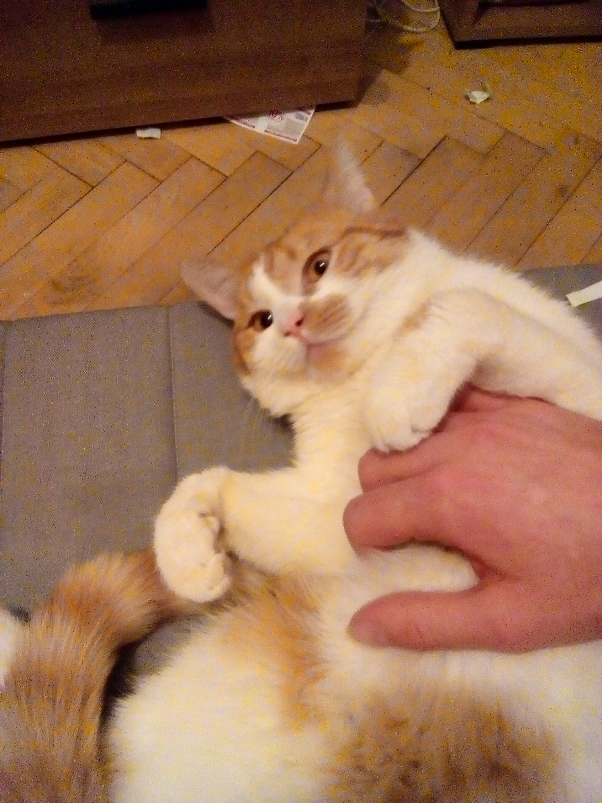 Foto 4