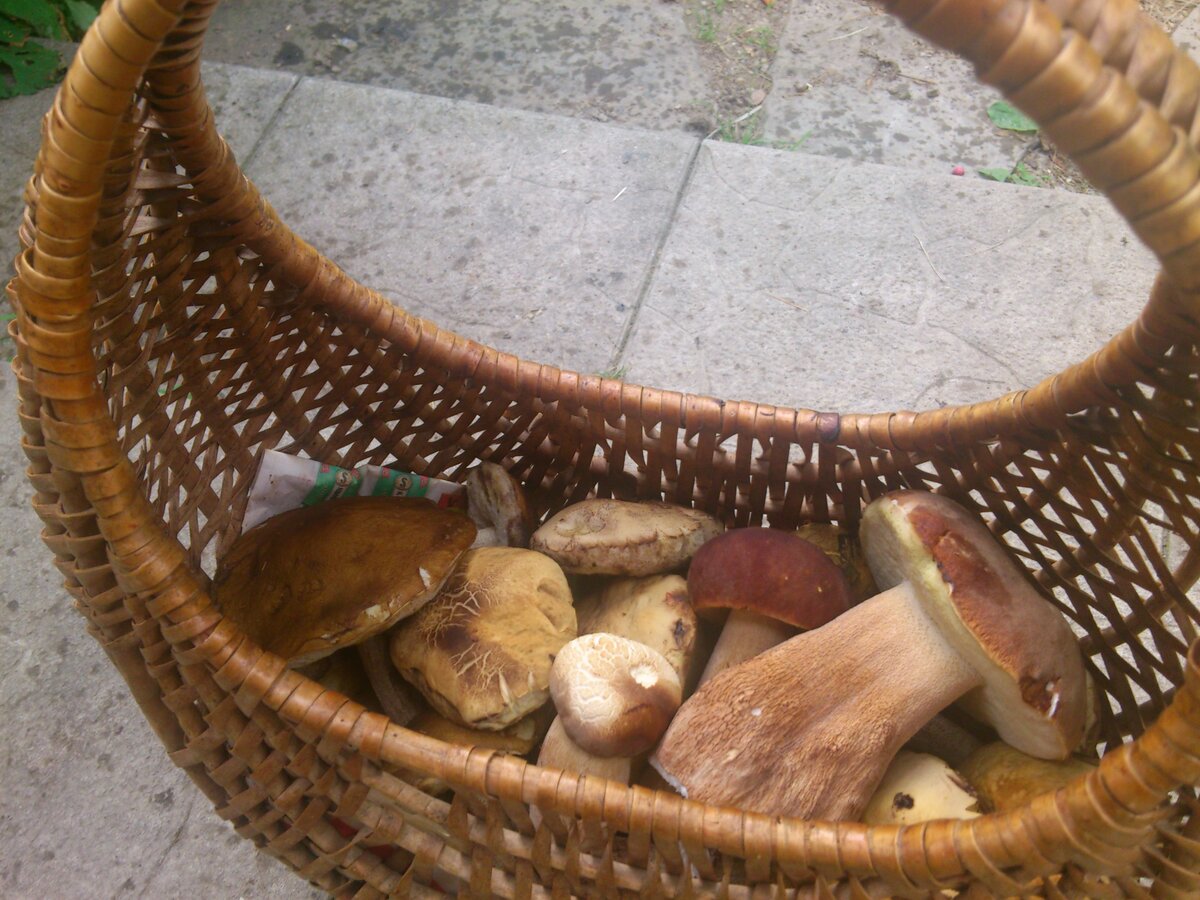 Foto 4