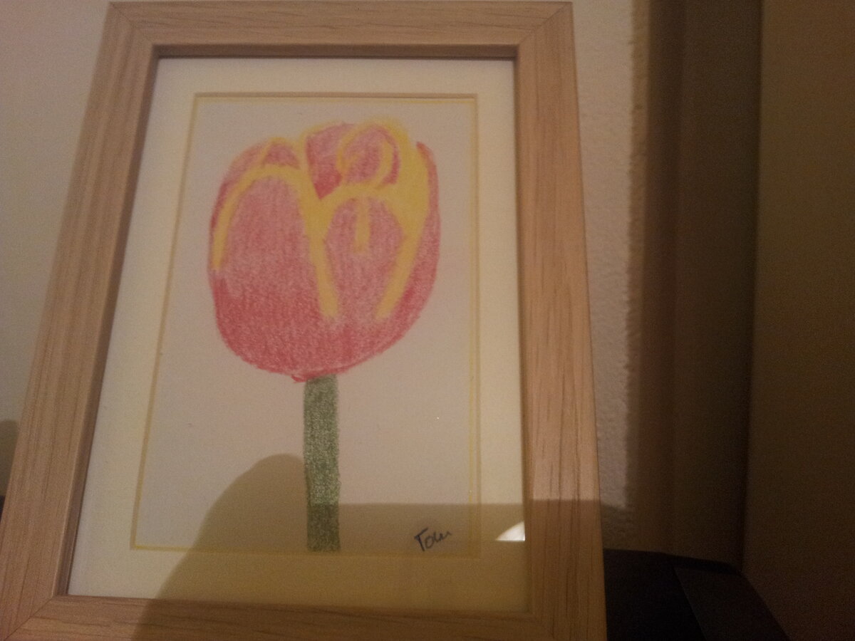 Foto 5