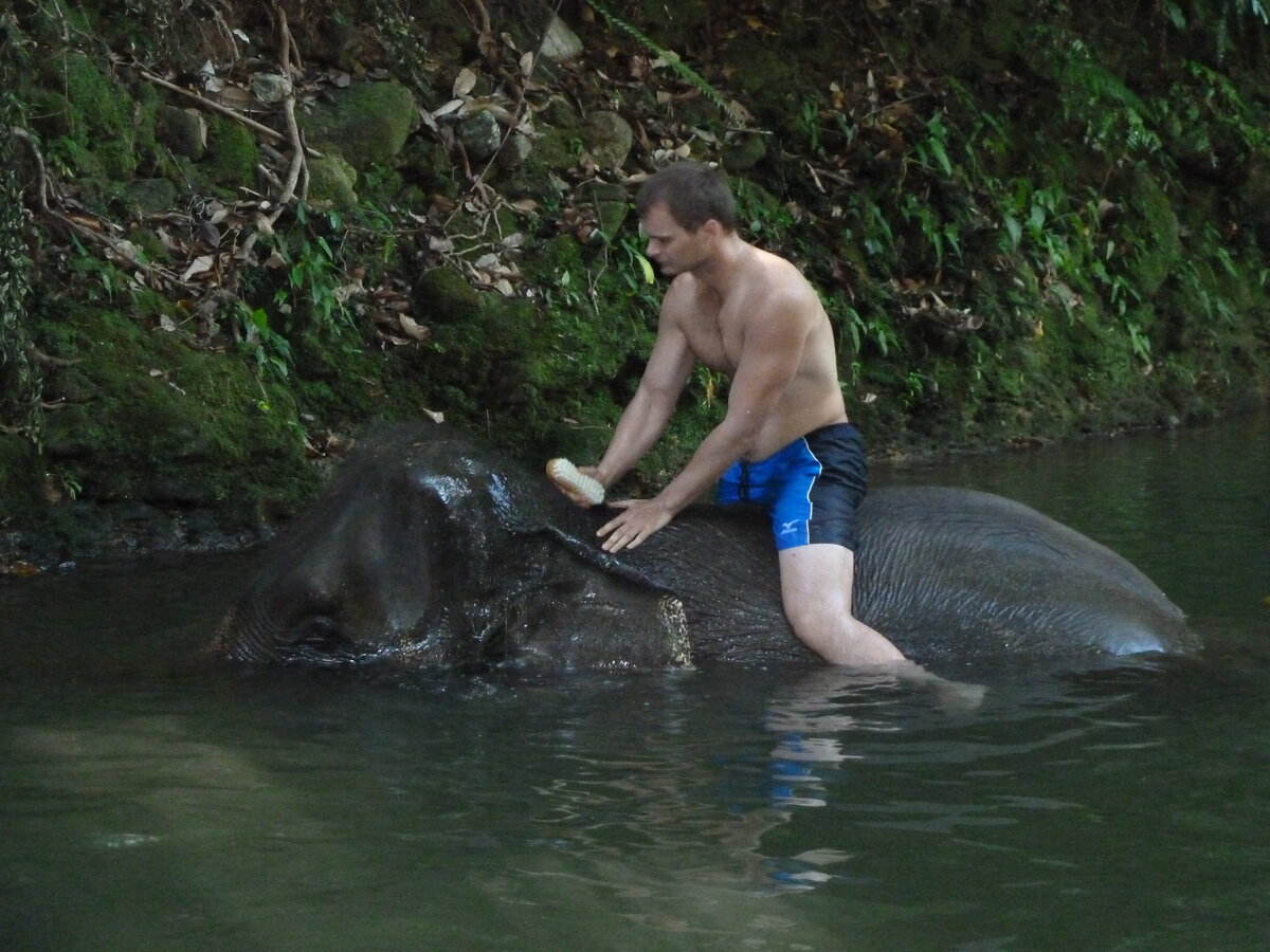 Foto 4