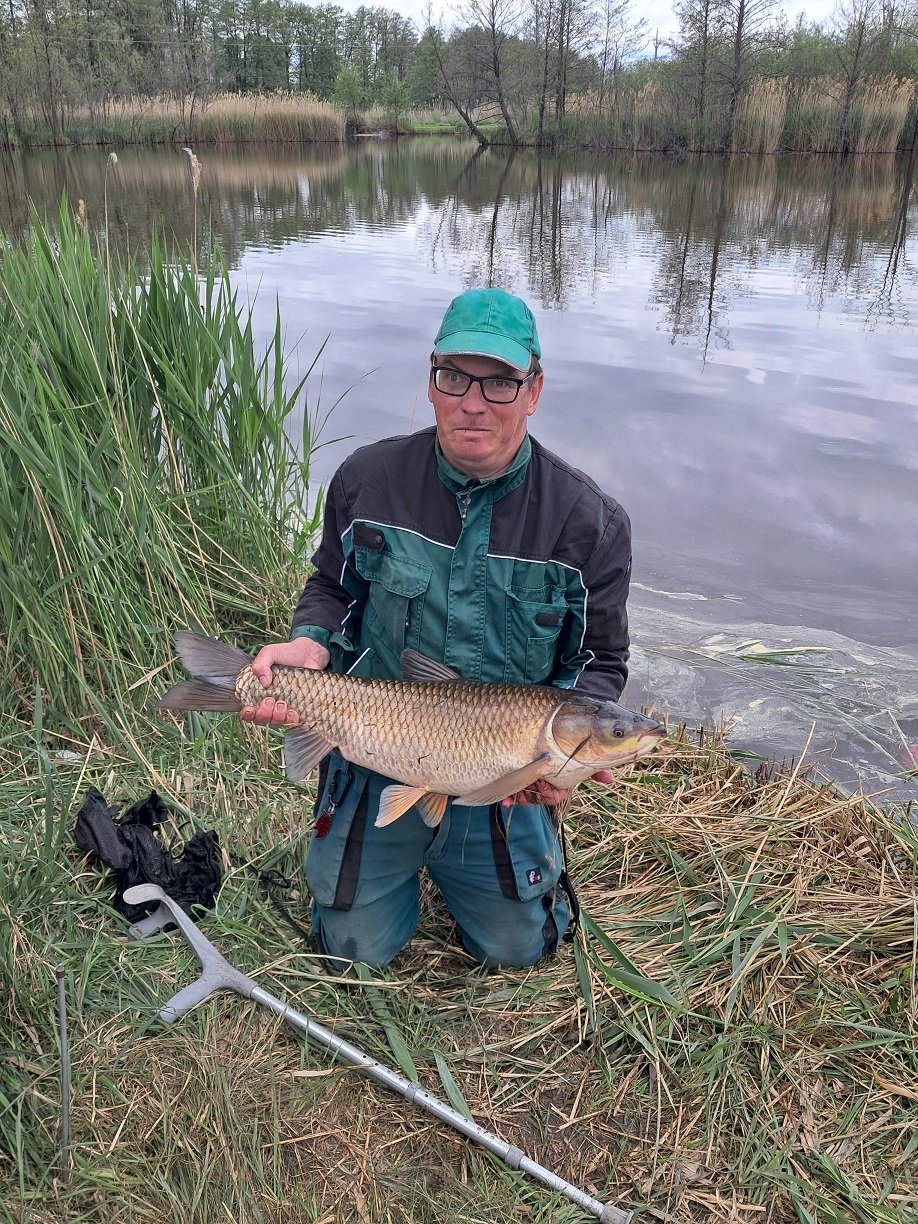 Foto 1