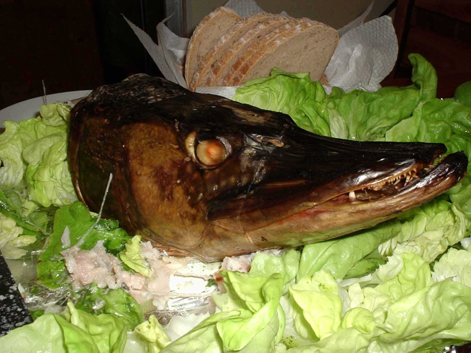 Foto 8