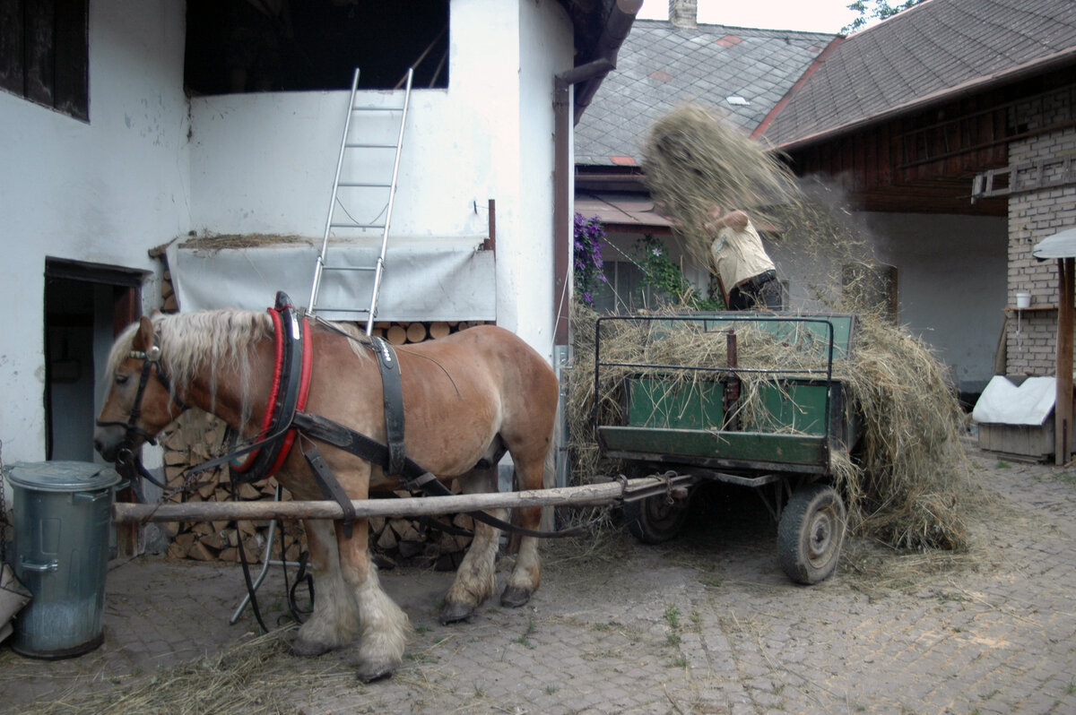 Foto 15