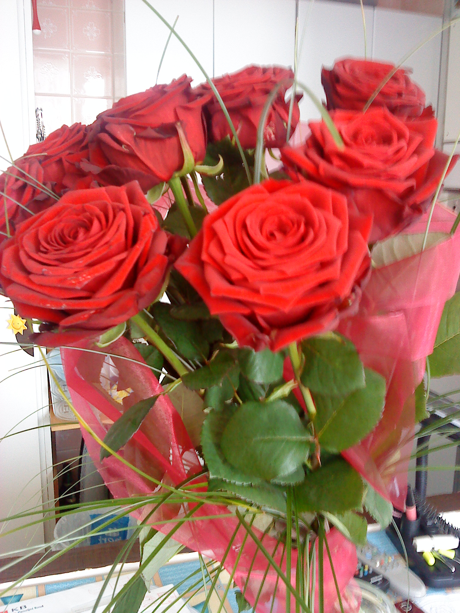 Foto 5