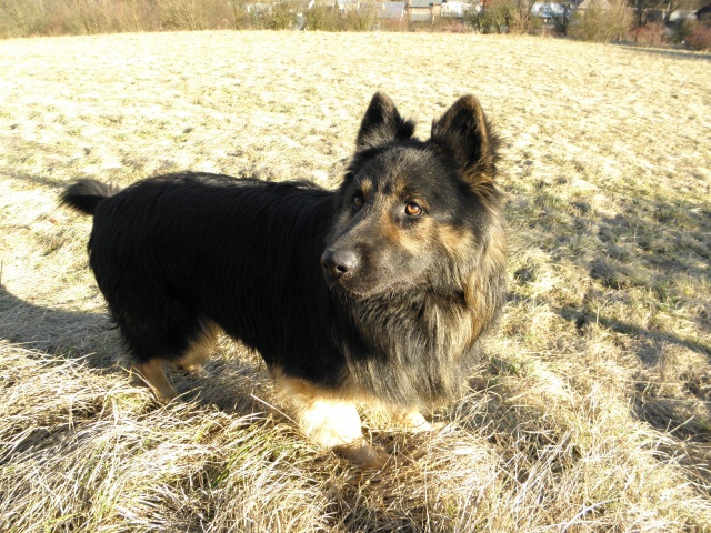 Foto 1