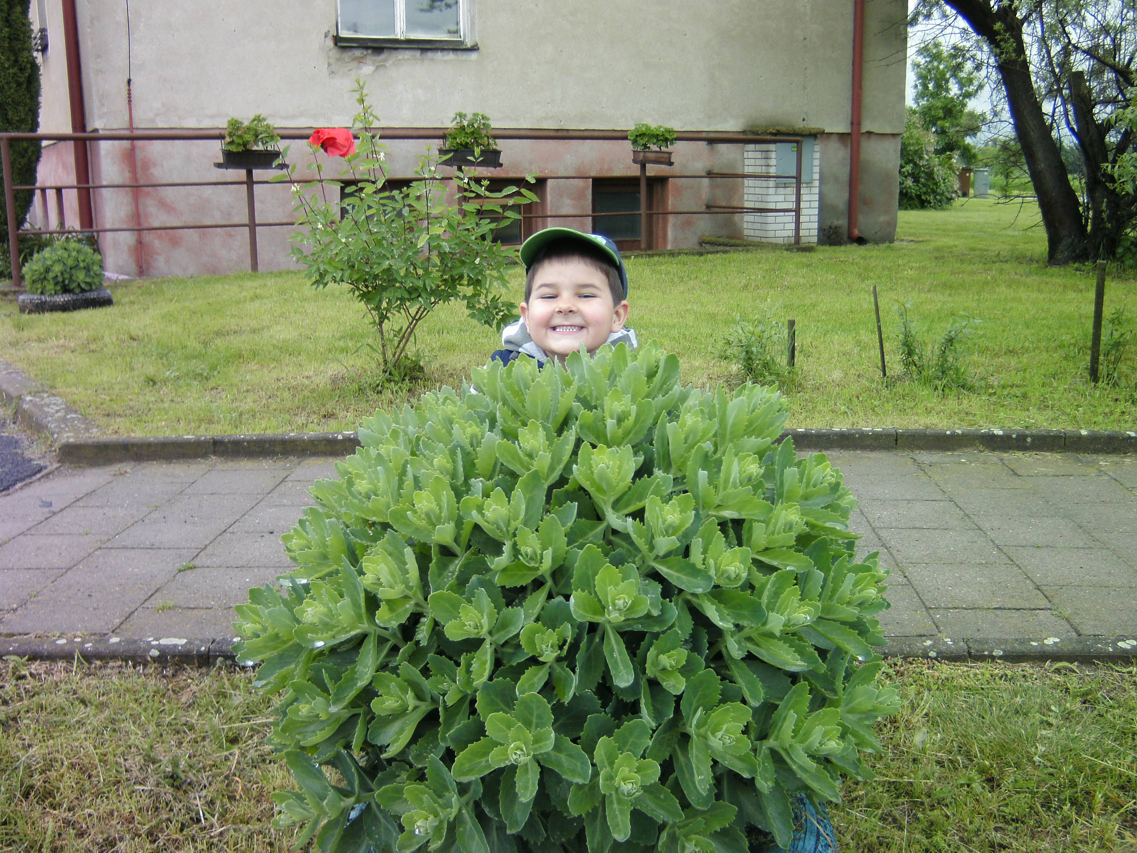 Foto 4
