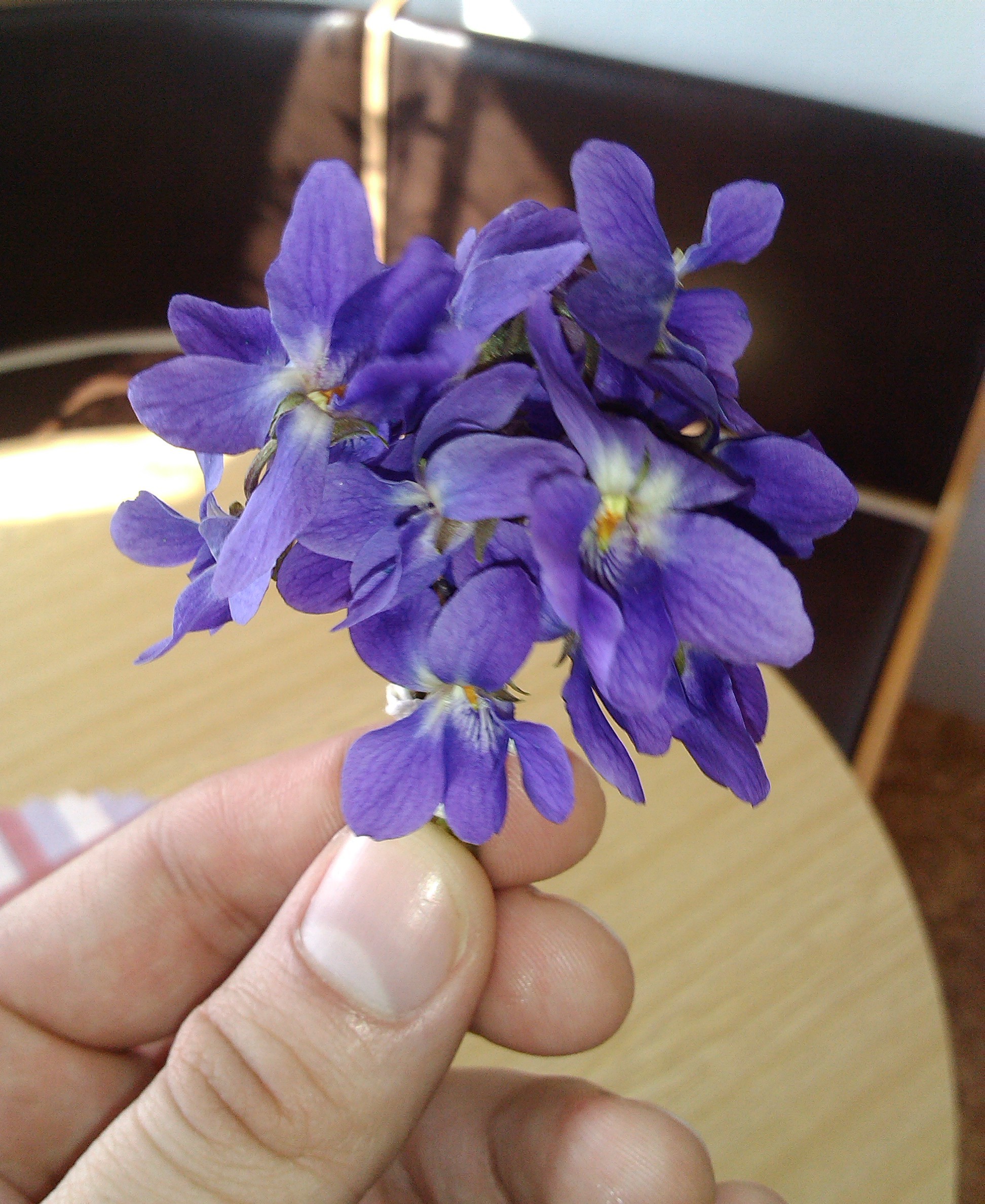 Foto 2
