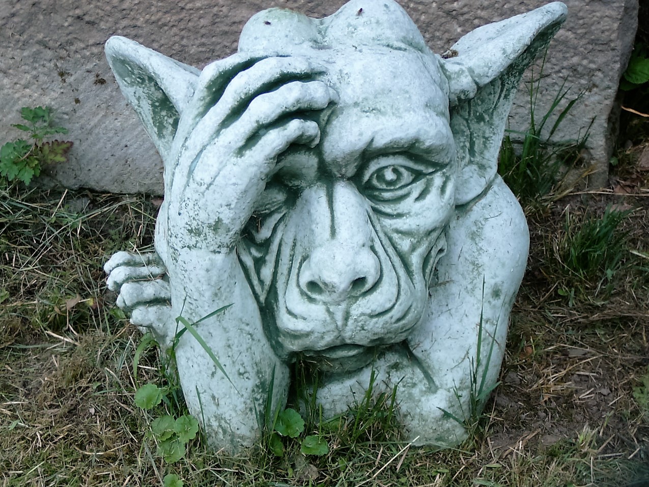 Foto 4