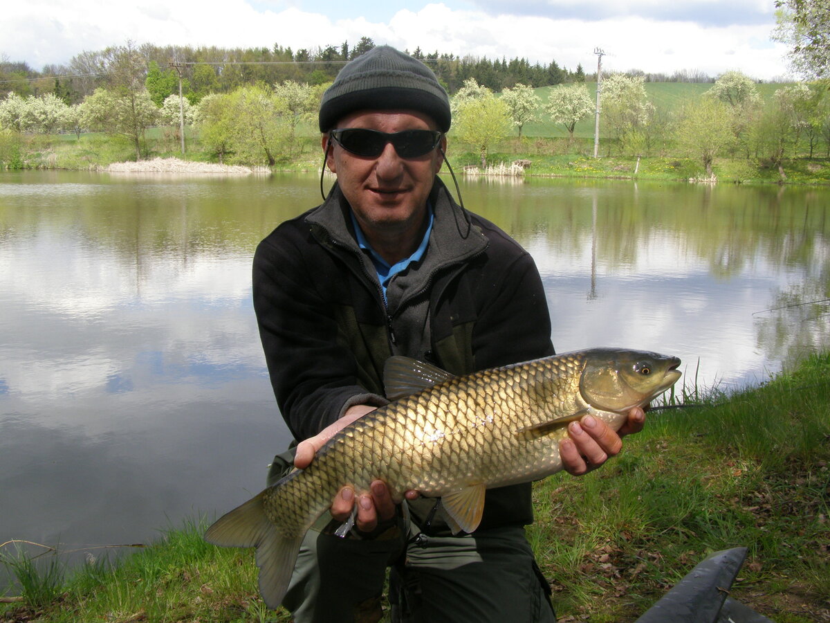 Foto 3