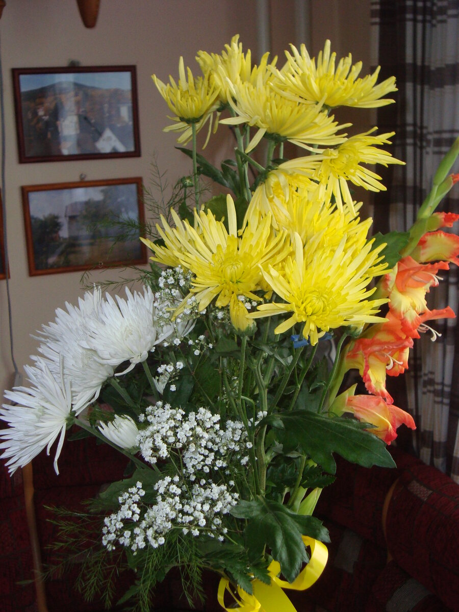 Foto 6