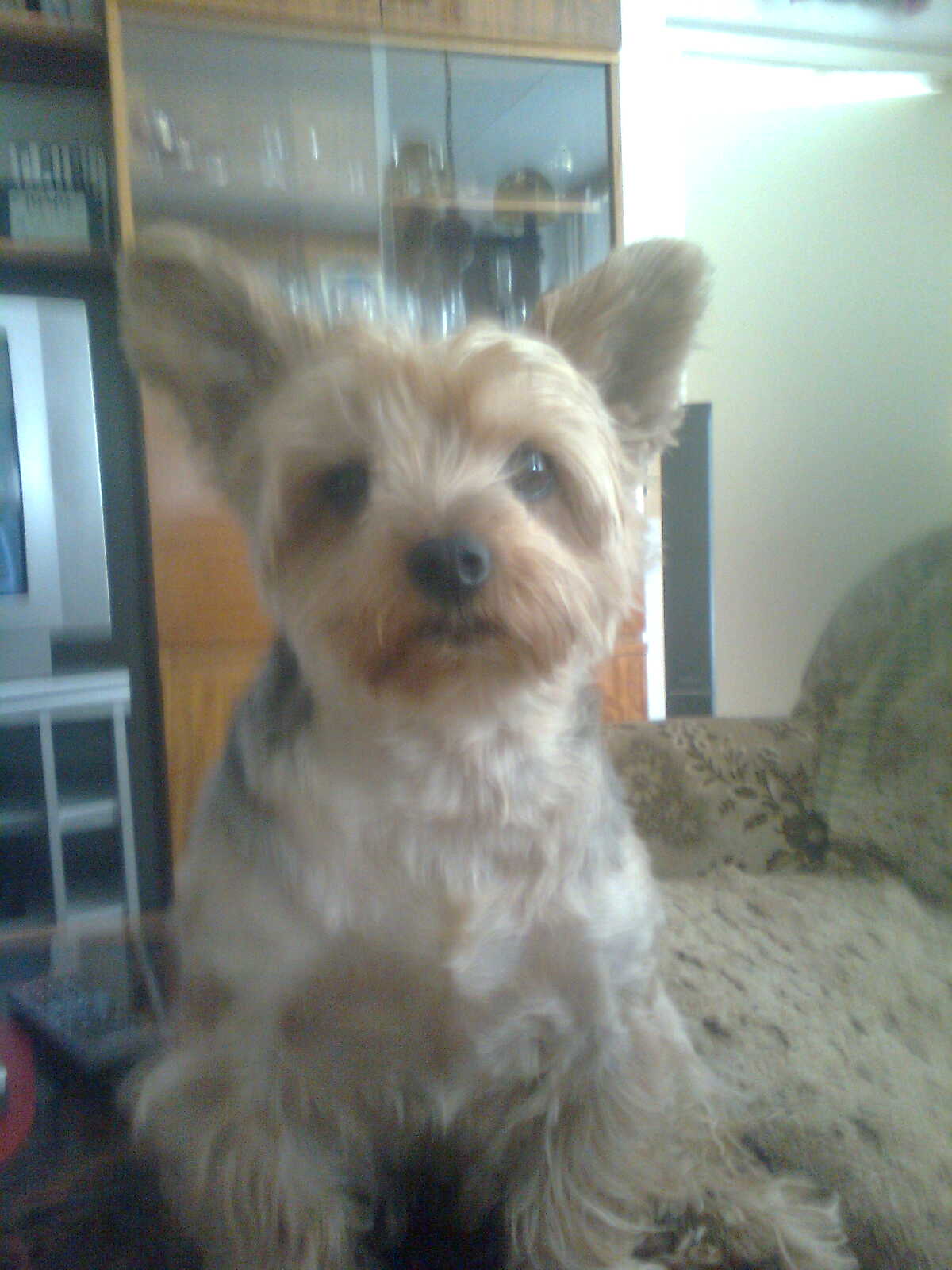 Foto 3