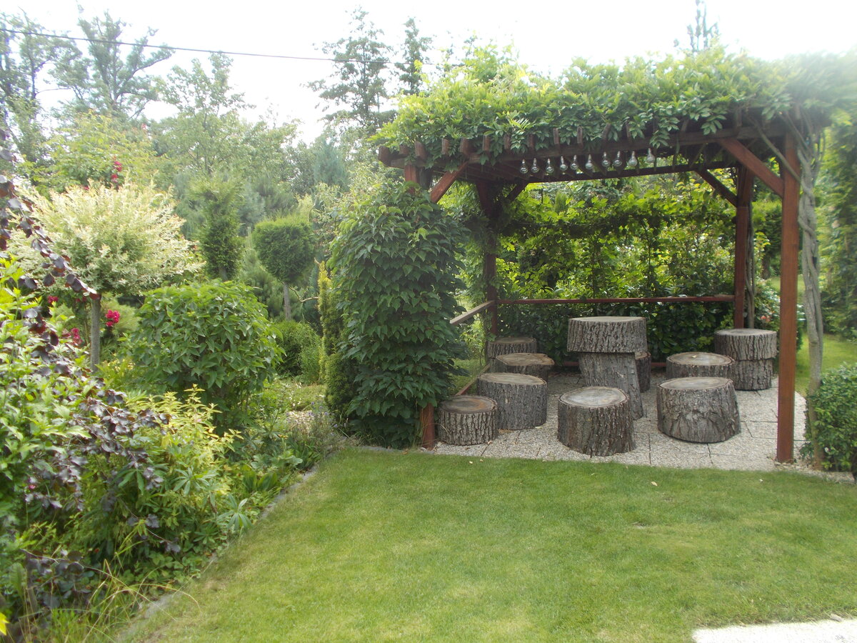Foto 7