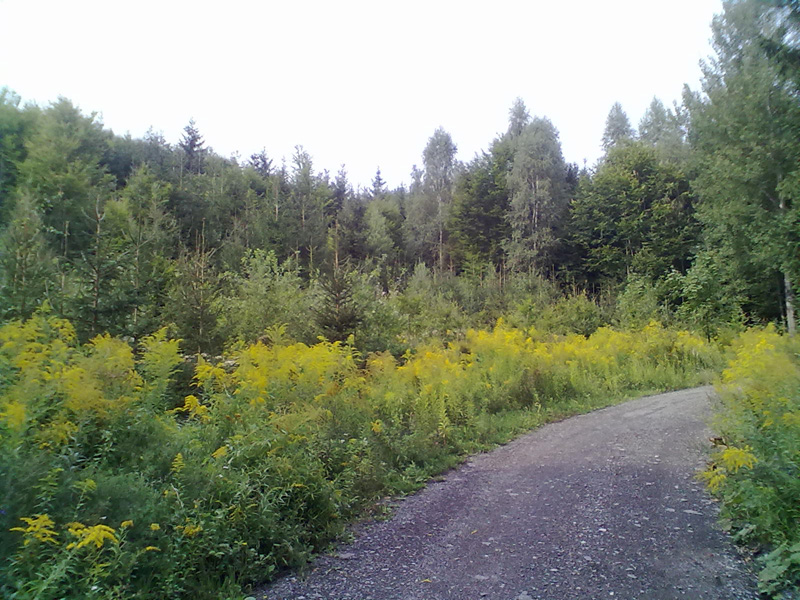 Foto 10