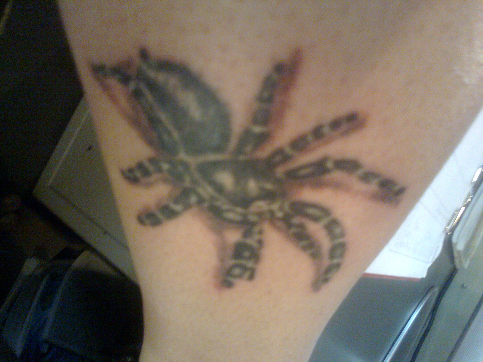 Foto 3
