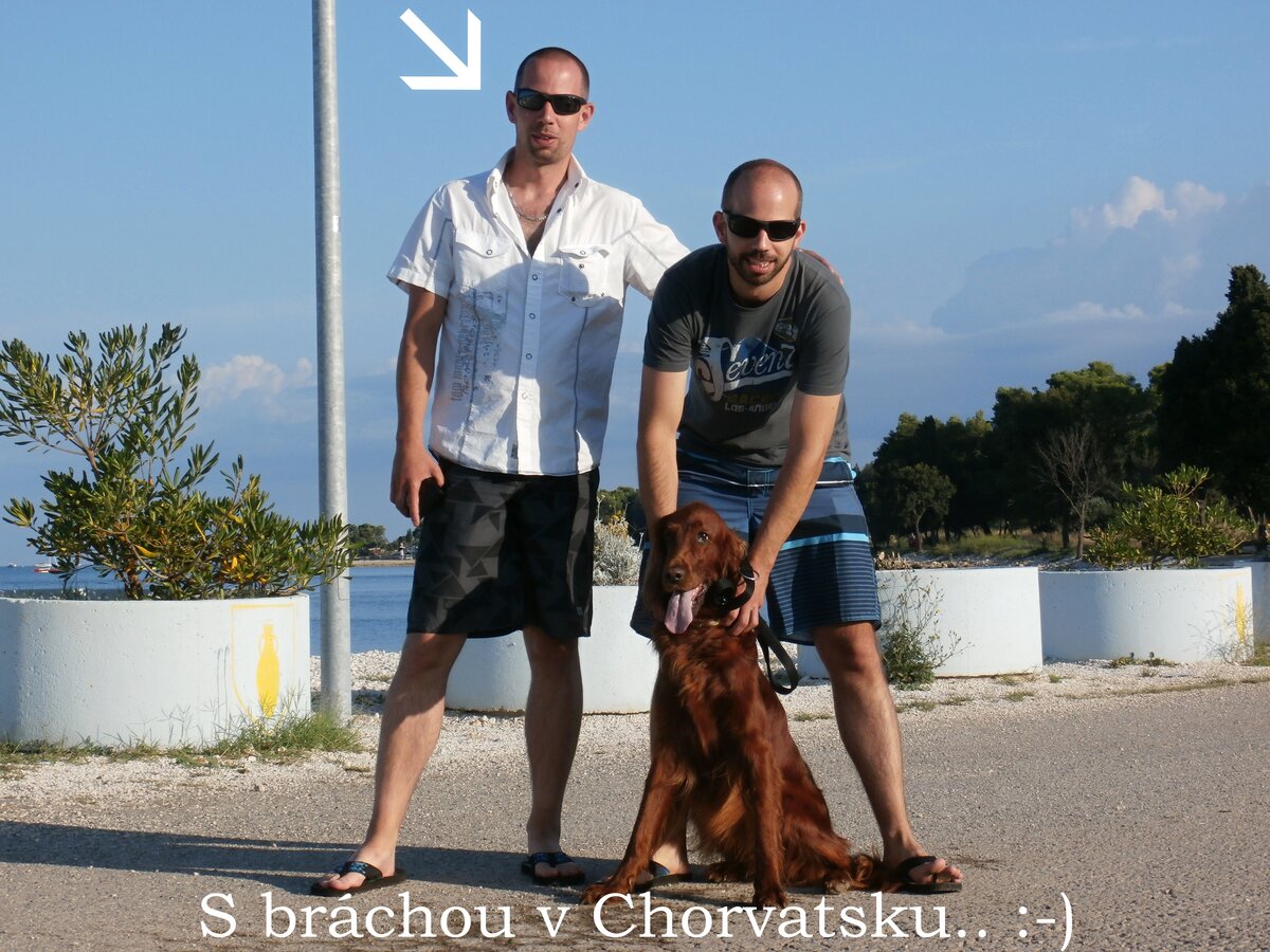 Foto 1