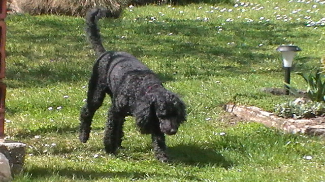 Foto 2