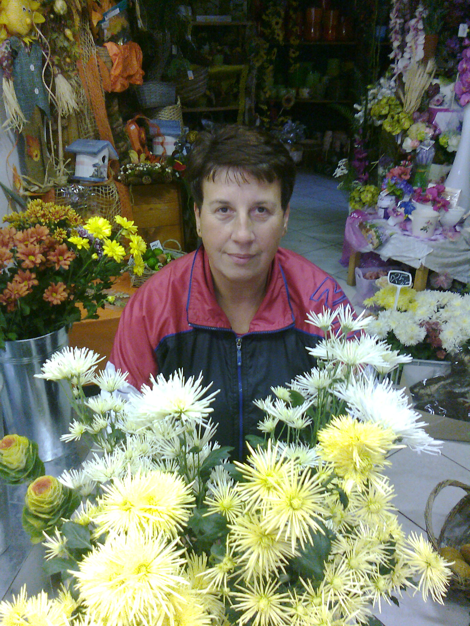 Foto 2