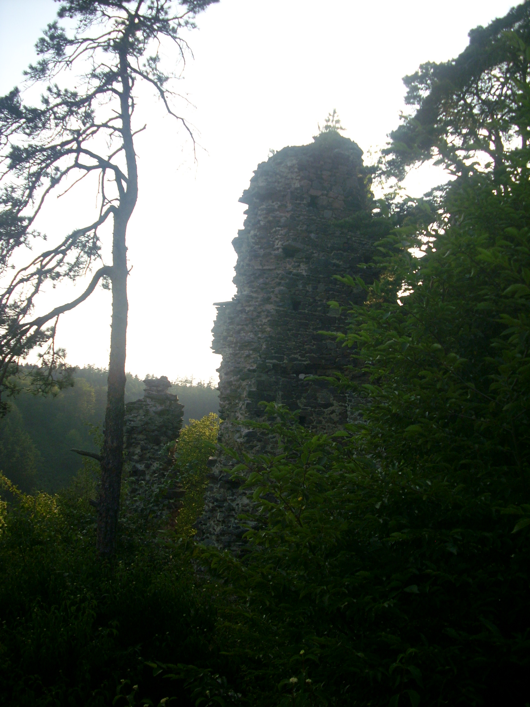 Foto 11