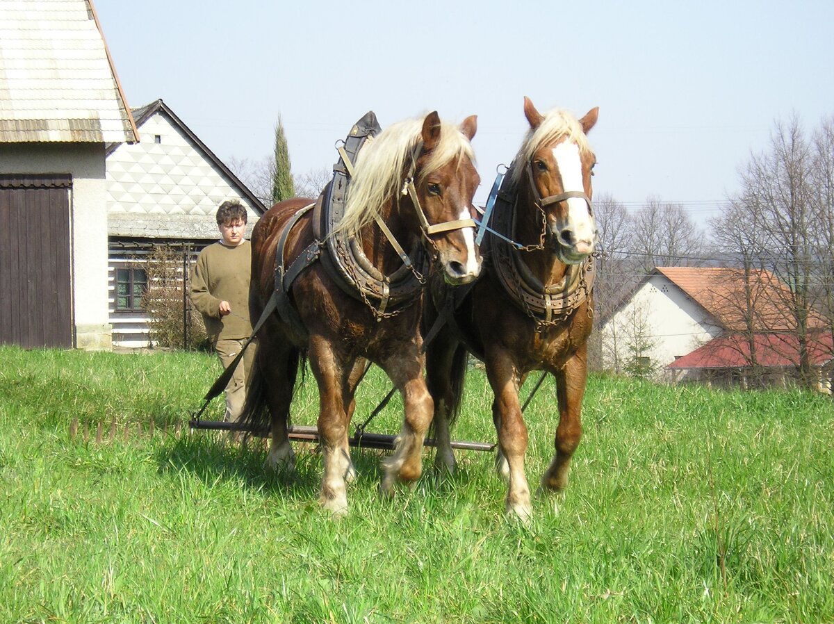 Foto 2