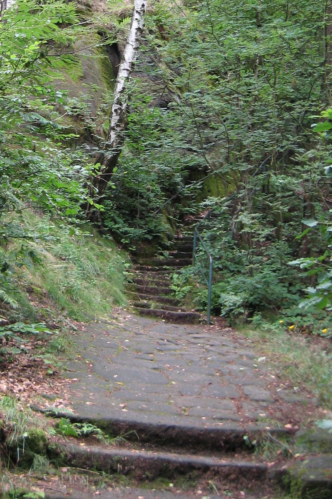 Foto 9