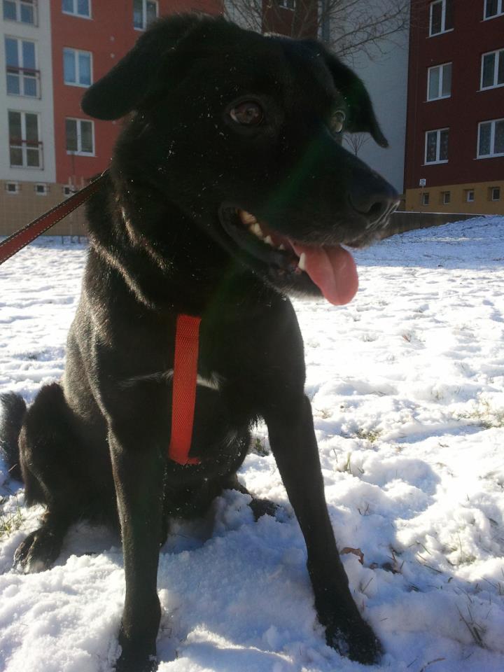 Foto 3