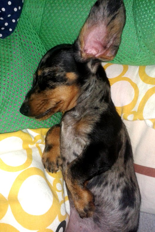 Foto 5