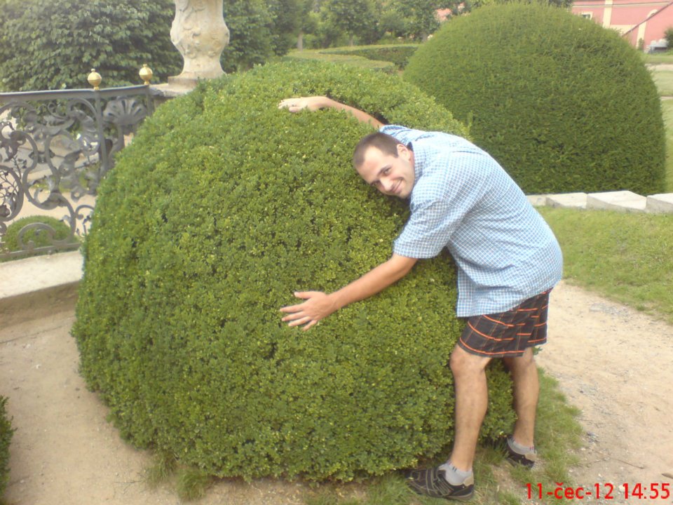Foto 6