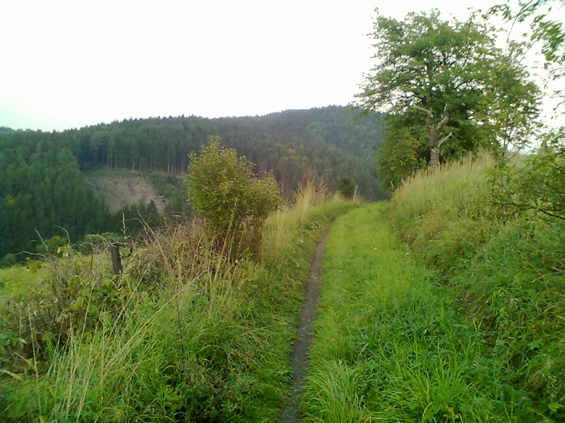 Foto 15