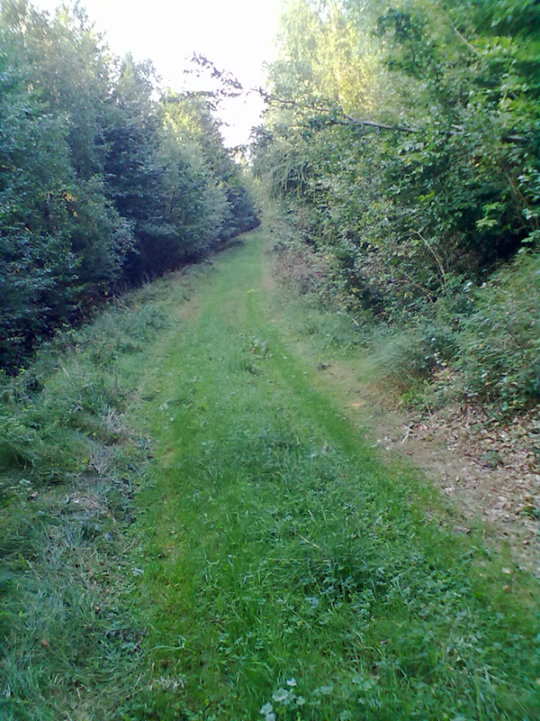Foto 14