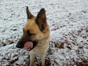 Seznámení s kubaprcek