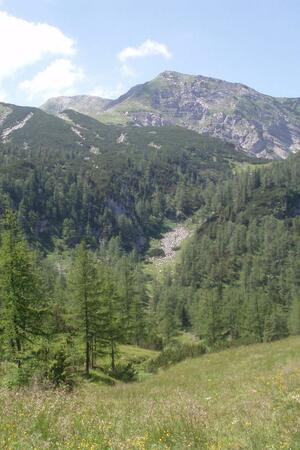 Seznámení s happilysun