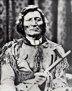 Seznámení s Pigousek