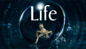 Seznámení s aknel22