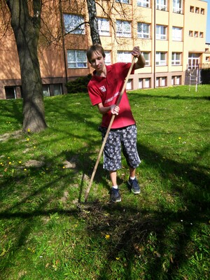 Seznámení s Bambus96