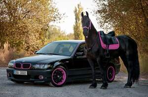 Seznámení s Dianka89