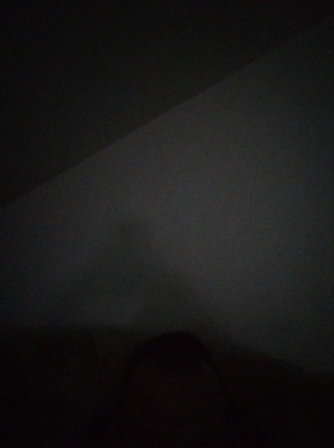 Seznámení s Adalvses