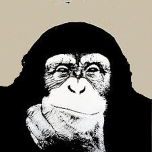 Seznámení s Equal35