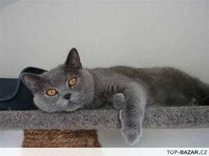 Seznámení s Bayern