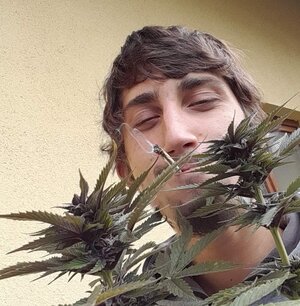 danda420