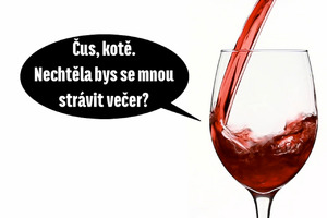 Seznámení s pisek1299