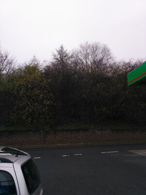 Seznámení s Vlad777