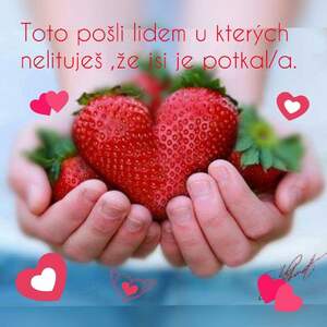 Seznámení s Pavlina12