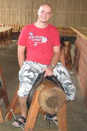 Seznámení s shirons