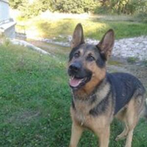 Seznámení s Jarsava